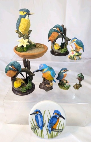 Collection kingfisher - collection, of