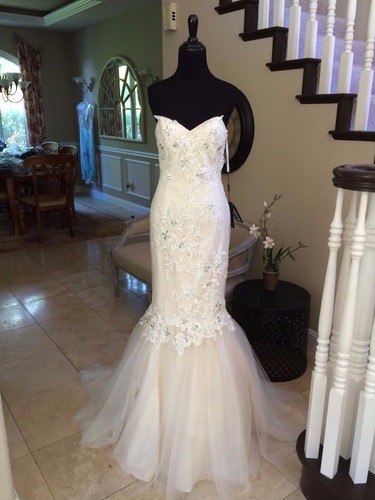 770 nwt ivory lace - nwt, terani