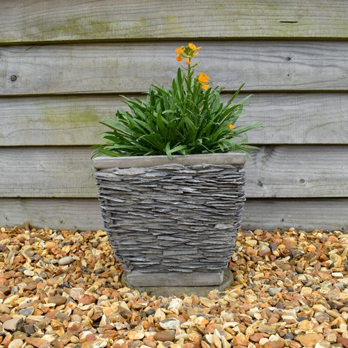 Plant pot stone - plant, slate