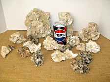 ASORTED SIZES NATURAL OCEAN