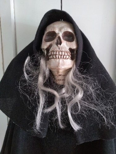 Halloween hanging skeleton - halloween,