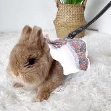 Small Animal Lace Dress And