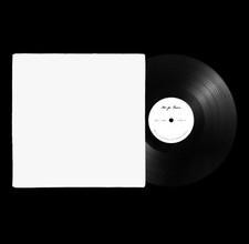 NOT FOR RADIO VINYL - THE