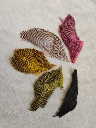 Grizzly saddle hackle fly - hackle,