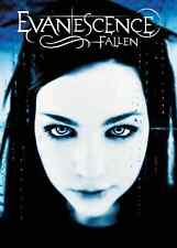 Evanescence  Music Concert