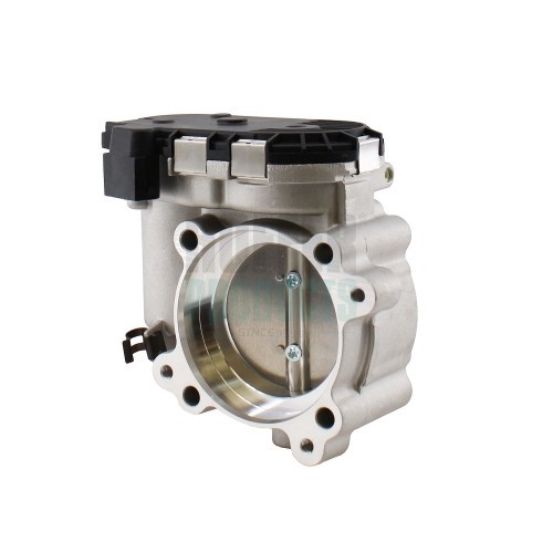 Hoffer throttle body fiat - hoffer,