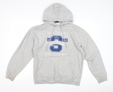 Alton Towers Grey Hoodie, Unisex Adults, M, Hooded Graphic Pullover