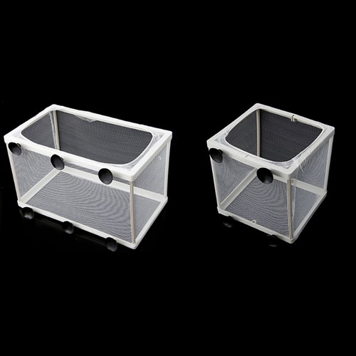 Aquarium mesh hatchery fish - aquarium,