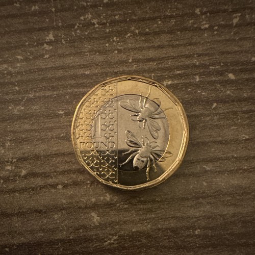 2025 one pound coin - (£1),