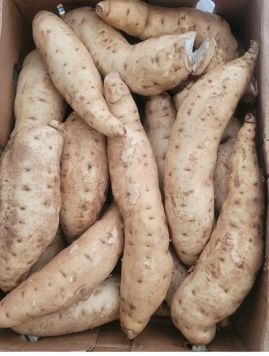 2kg uganda sweet potatoes - 2kg,