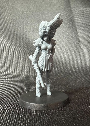 Inquisitor guard agents of - agents,