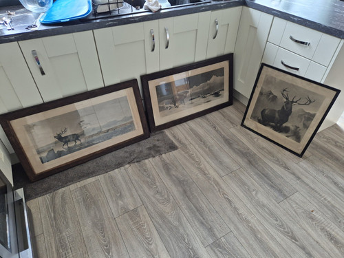 Framed deer stag landscape - 3x,