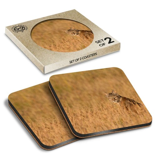 Boxed square coasters - x,