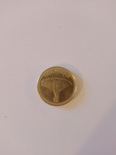 2014 gibralter one pound - gibralter,