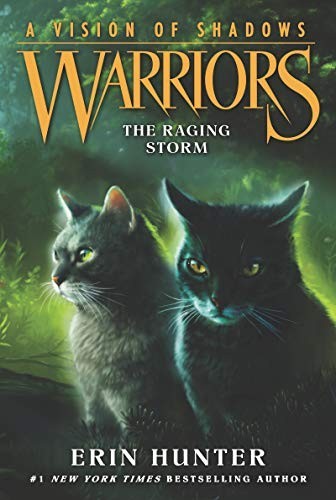 Warriors vision of - vision, shadows