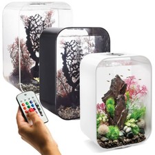Oase multicolor fish tank - oase,