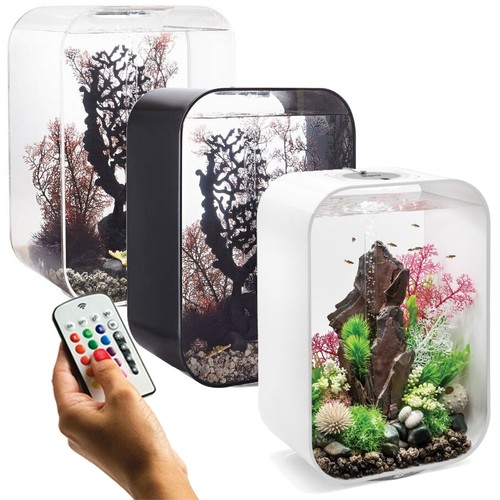 Oase multicolor fish tank life - multicolor,