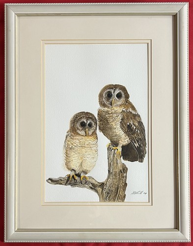 Original irish art watercolour - original,