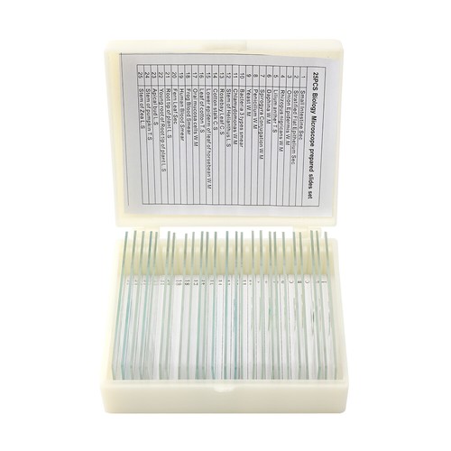 25x biological glass sample - biological,
