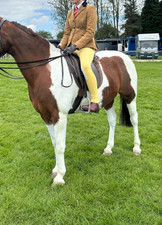 childs tweed show jacket with