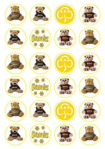 Brownies girl guides teddy - 24,