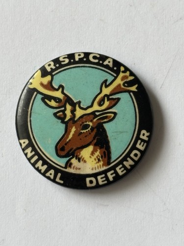 1950s 60s c a - /, tin