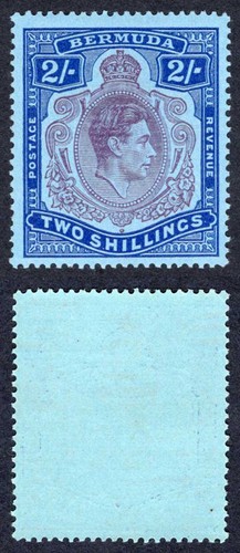 Bermuda sg116d purple and - bermuda,