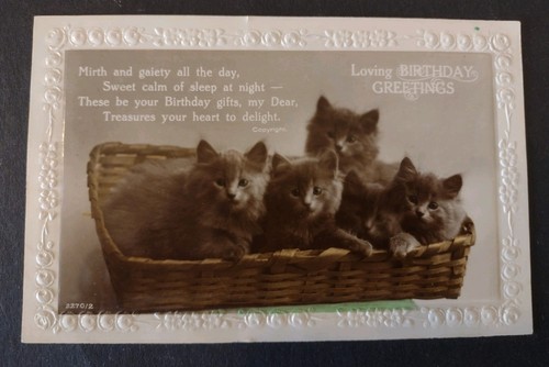Cat postcard blue persian - rp,