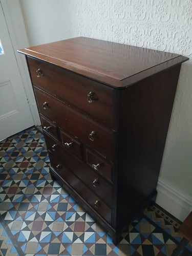 Stag minstrel tallboy - stag,
