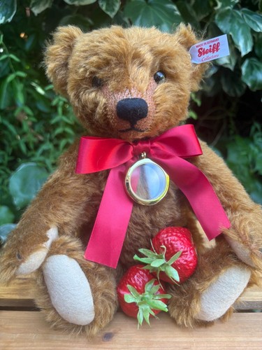 Steiff cinnamon bear 690754 - -,