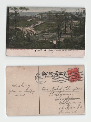 Postcard the zoo highland - postcard, zoo,