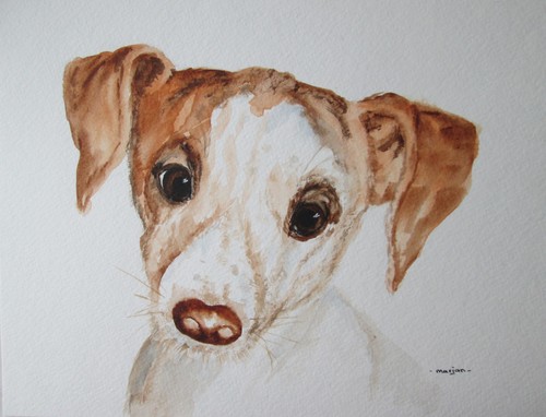 Jack russell dog original - russell,