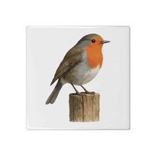 'Robin Redbreast Bird on a