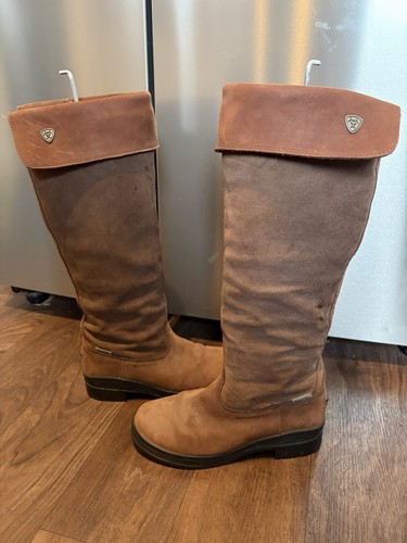 Ariat windrush brown - ariat,