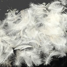 Washed White Duck Feathers