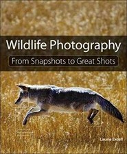 Wildlife Photography: From