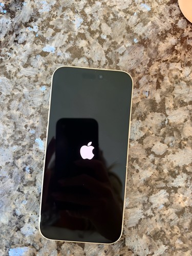 Iphone pro max 256gb - max,