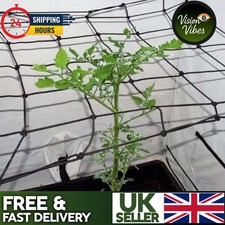 Flexible stretchy scrog net - scrog,