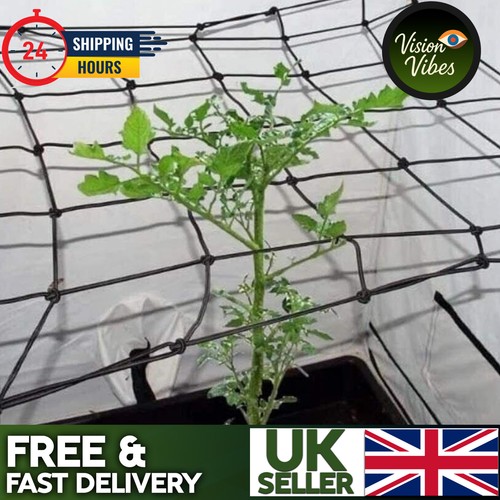 Flexible stretchy scrog net - stretchy,