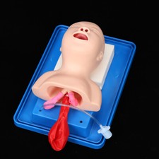 Airway Management Trainer