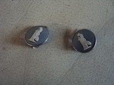Vintage wedgwood earrings - wedgwood,