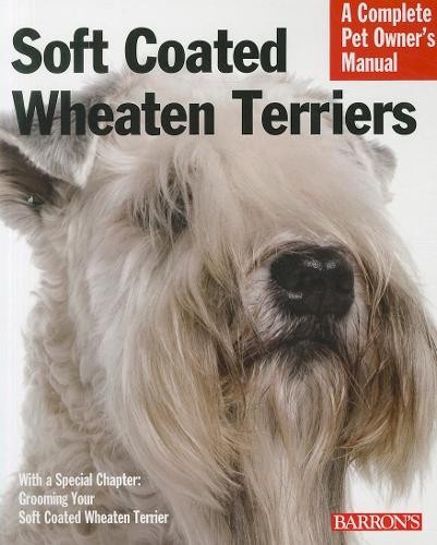 Soft coated wheaten terriers - soft,