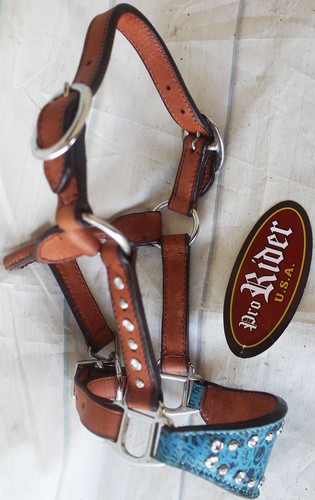 Horse noseband tack - noseband,