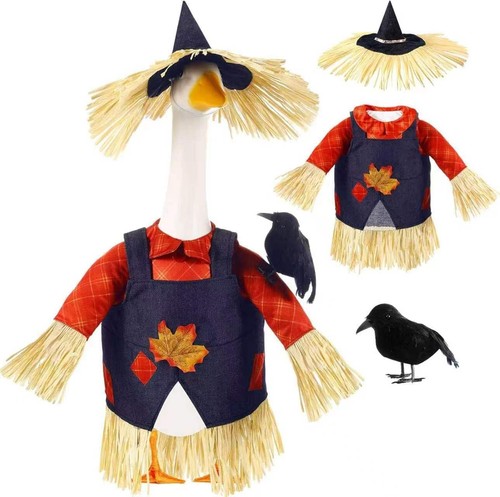 Scarecrow porch goose - scarecrow, outfit