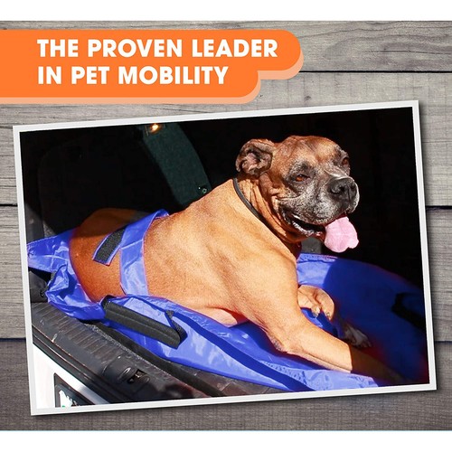 Foldable dog stretcher - foldable, animal