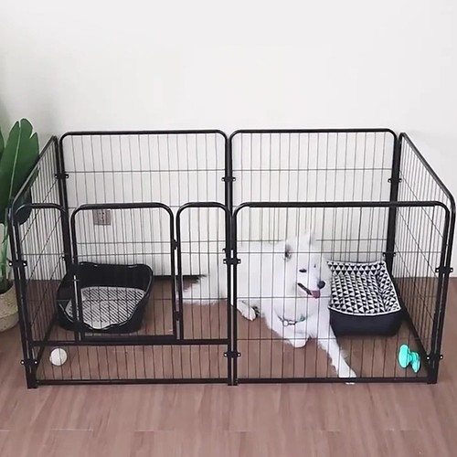 6panel dog pet puppy - pet,