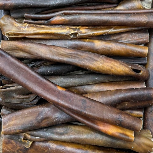 Camel roll dog - camel, chew