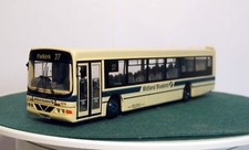 Efe midland bluebird wright - bluebird,