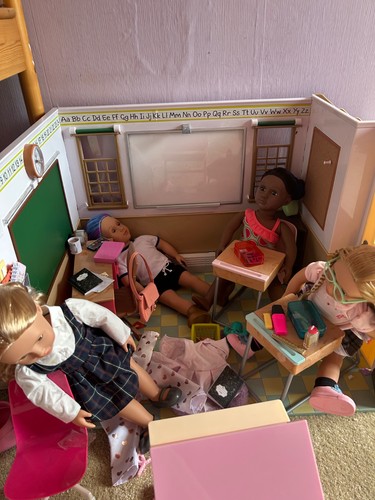 Our generation dolls school