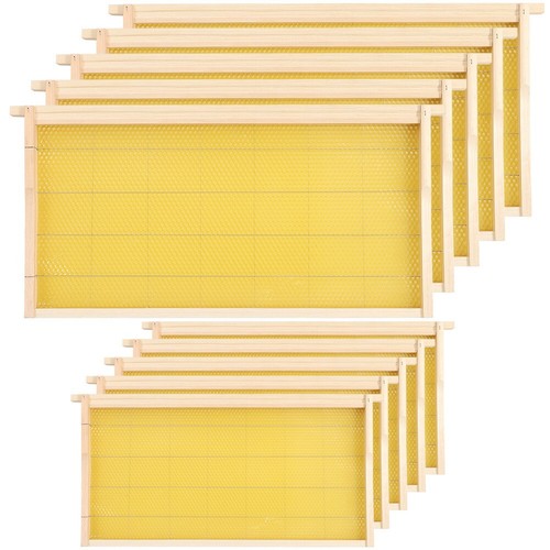 10pc assembled national - 10pc,